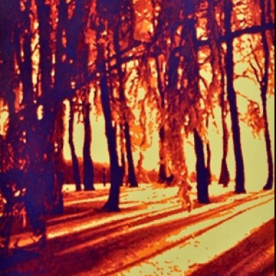 BERLIN · WALD @ Raab Galerie